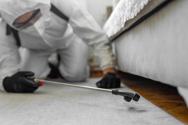 Professional Pest Control technician working in Logan County County, KY